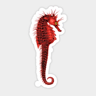 RED SEAHORSE IN TURQUOISE BLUE Sea Life Drawing Sticker